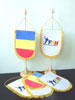 fanion fed HANDBAL